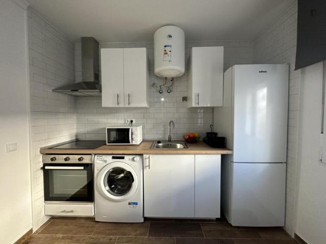 Apartamentos 1 Dormitorio Madrid Madrid ES105715120