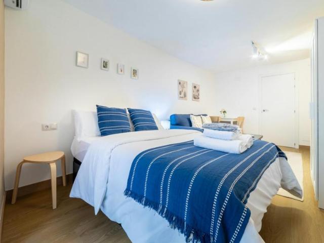 Apartamentos 1 Dormitorio Madrid Madrid ES105758261