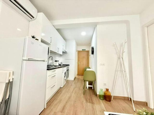Apartamentos 1 Dormitorio Madrid Madrid ES105793971