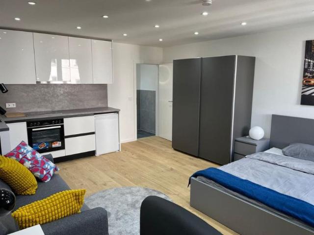 Apartamentos 1 Dormitorio Madrid Madrid ES105005913
