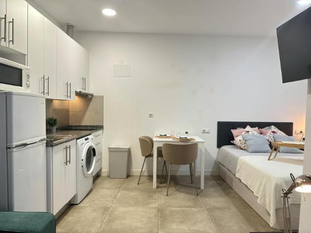 Apartamentos 1 Dormitorio Madrid Madrid ES105119884