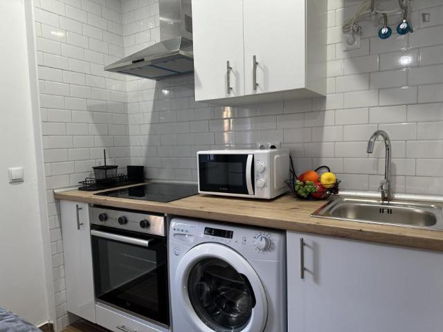 Apartamentos 1 Dormitorio Madrid Madrid ES105185389
