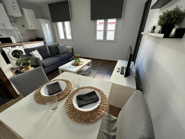 Apartamentos 1 Dormitorio Madrid Madrid ES106075217