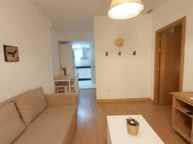 Apartamentos 1 Dormitorio Málaga Málaga ES94948019