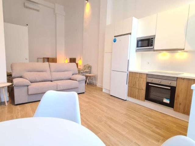 Apartamentos 1 Dormitorio Málaga Málaga ES99105280