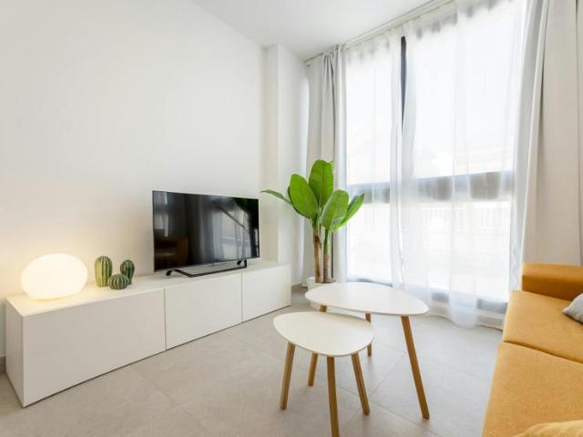 Apartamentos 1 Dormitorio Málaga Málaga ES101407503