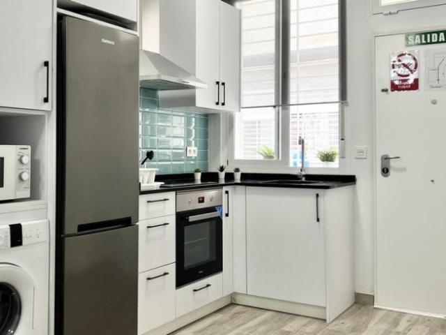 Apartamentos 1 Dormitorio Málaga Málaga ES101566681
