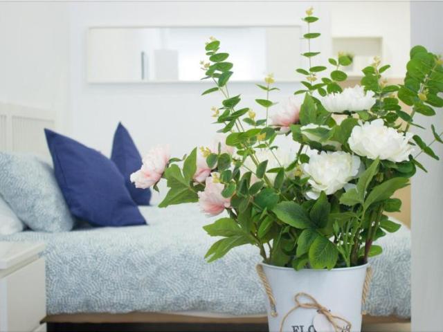 Apartamentos 1 Dormitorio Málaga Málaga ES101566685