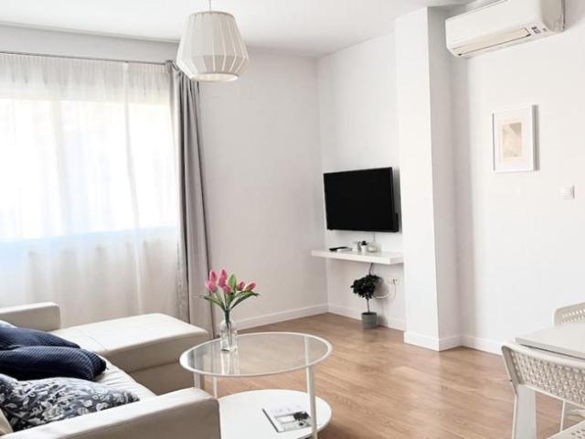 Apartamentos 1 Dormitorio Málaga Málaga ES101775826