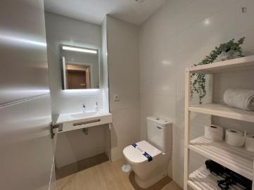 Apartamentos 1 Dormitorio Malaga Malaga ES103286355
