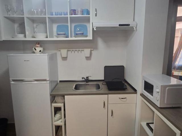 Apartamentos 1 Dormitorio Málaga Málaga ES104507348