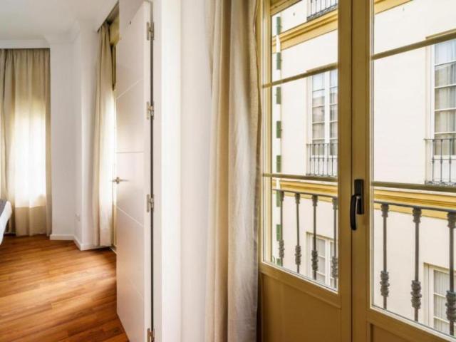 Apartamentos 1 Dormitorio Málaga Málaga ES104786214