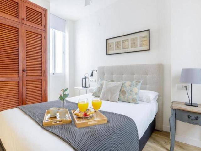 Apartamentos 1 Dormitorio Málaga Málaga ES104897273