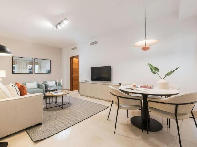 Apartamentos 1 Dormitorio Málaga Málaga ES105507625
