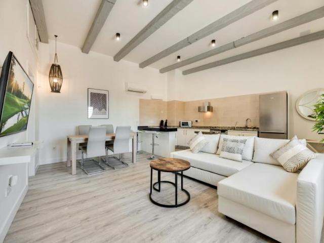 Apartamentos 1 Dormitorio Málaga Málaga ES105705565