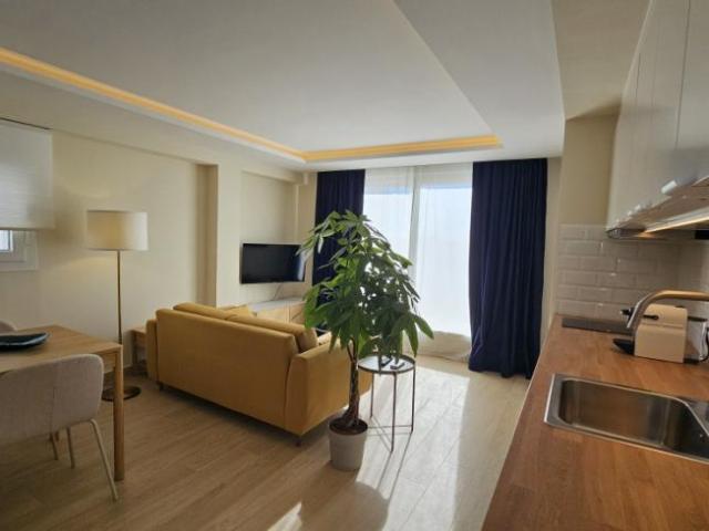 Apartamentos 1 Dormitorio Málaga Málaga ES105005946