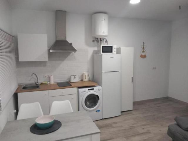 Apartamentos 1 Dormitorio Malaga Malaga ES106076369