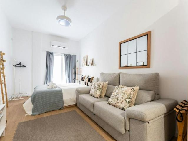 Apartamentos 1 Dormitorio Málaga Málaga ES106194656