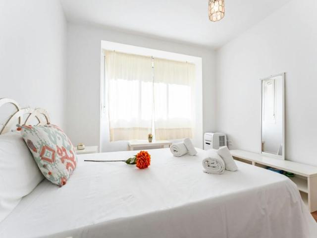 Apartamentos 1 Dormitorio Málaga Málaga ES106195149