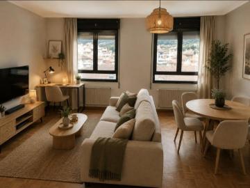 Apartamentos 1 Dormitorio Mieres Mieres ES103397766