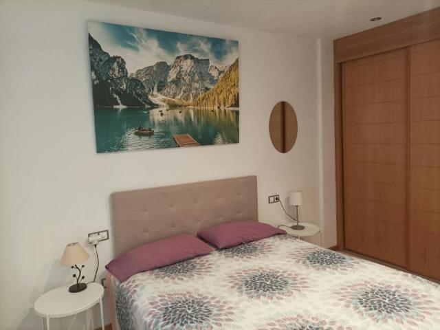 Apartamentos 1 Dormitorio Adeje Adeje ES104783520