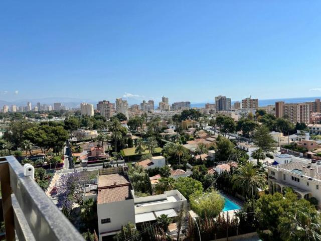 Apartamentos 1 Dormitorio Alicante Alicante ELS102850764