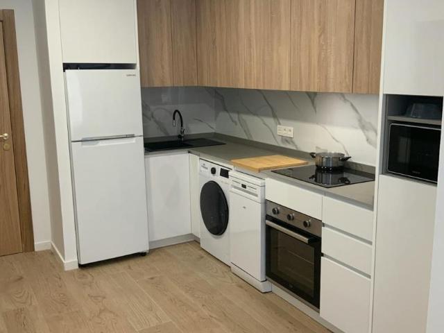 Apartamentos 1 Dormitorio Alicante Alicante ES104182339