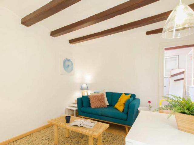Apartamentos 1 Dormitorio Barcelona Barcelona ES101407798