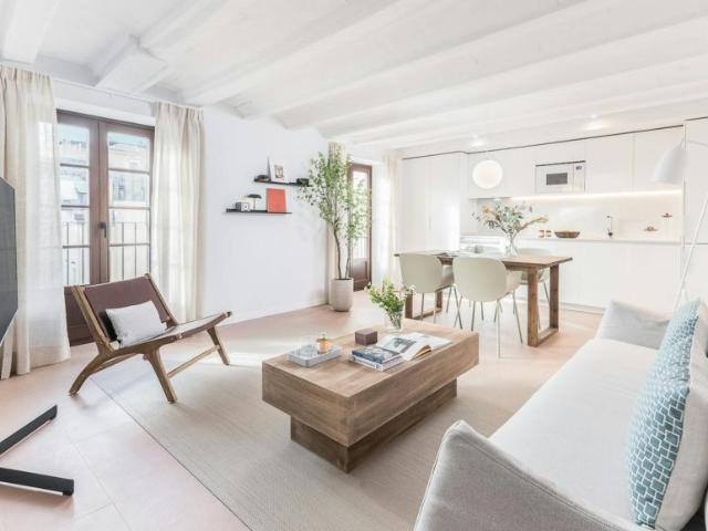 Apartamentos 1 Dormitorio Barcelona Barcelona ES104002707