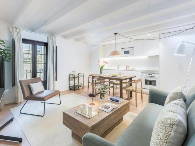 Apartamentos 1 Dormitorio Barcelona Barcelona ES104002709