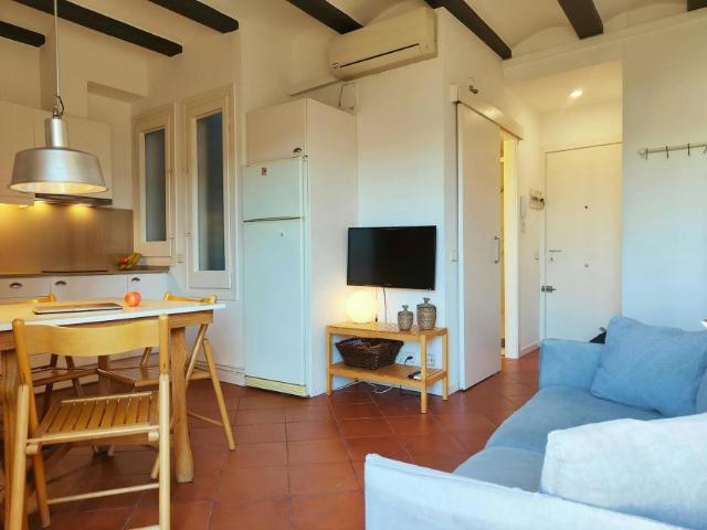 Apartamentos 1 Dormitorio Barcelona Barcelona ES105186800