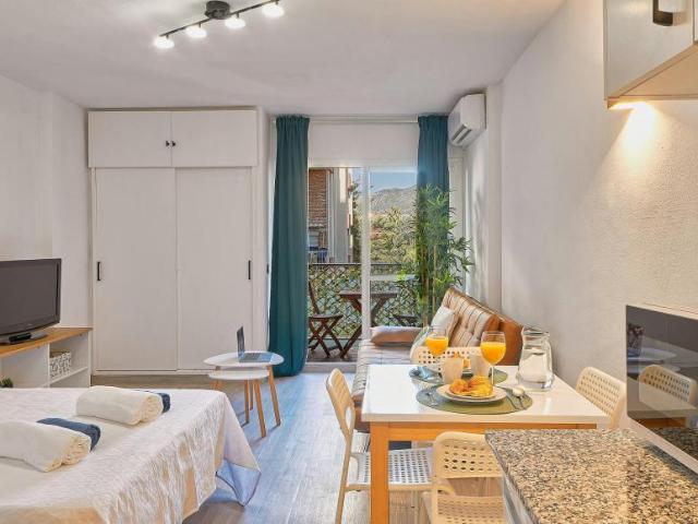 Apartamentos 1 Dormitorio Benalmádena Benalmádena ES101269256