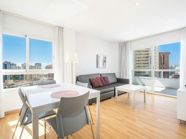 Apartamentos 1 Dormitorio Benidorm Benidorm ES104536974