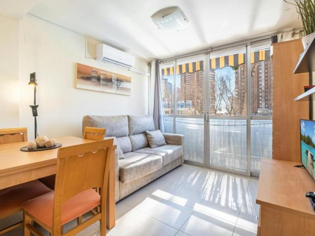 Apartamentos 1 Dormitorio Benidorm Benidorm ES105005732