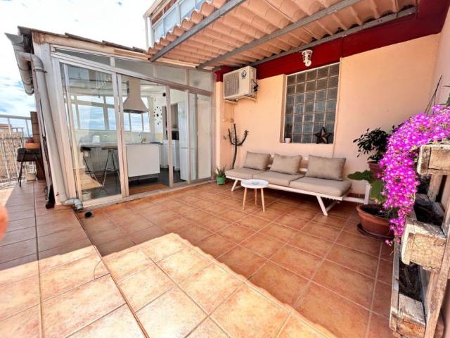 Apartamentos 1 Dormitorio Palma Palma ES99385382