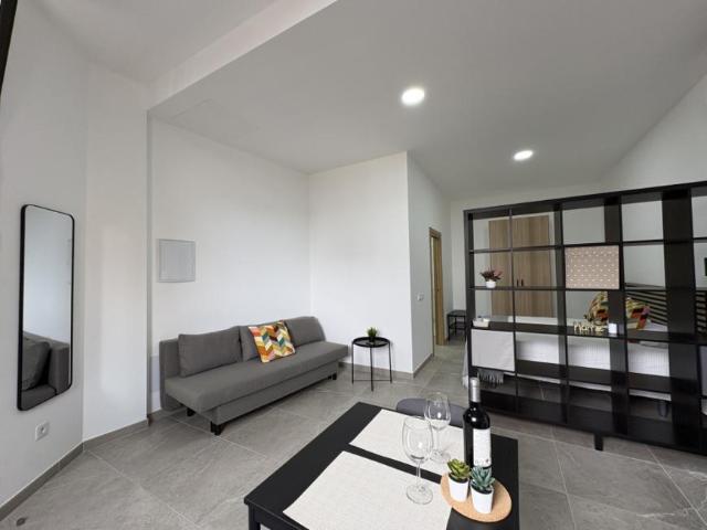 Apartamentos 1 Dormitorio San Andrés San Andrés ES104754865