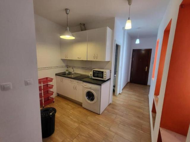 Apartamentos 1 Dormitorio Sevilla Sevilla ES103308019