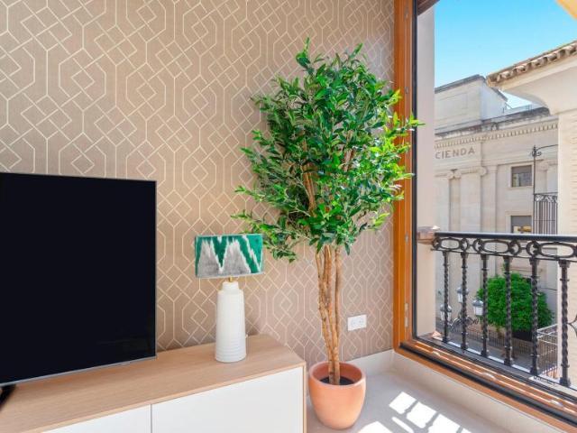 Apartamentos 1 Dormitorio Sevilla Sevilla ES103959832