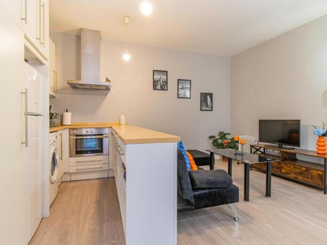 Apartamentos 1 Dormitorio Zaragoza Zaragoza ES104797017