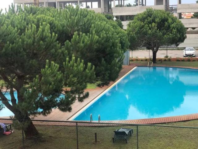 Apartamentos 1 quarto, Ovar Ovar DS99387061