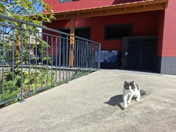 Apartamentos 1 quarto, São Vicente São Vicente ES77936274
