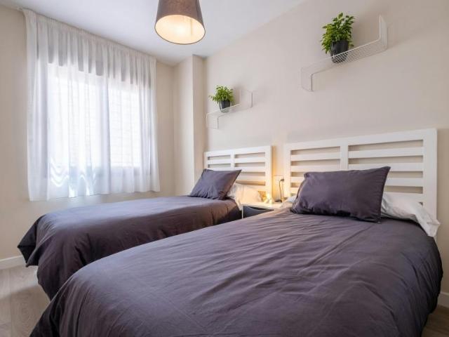 Apartamentos 2 Dormitorio Málaga Málaga ELS104364517