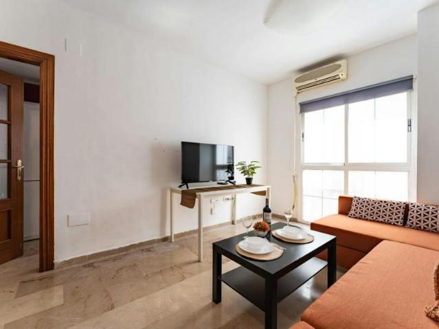 Apartamentos 2 Dormitorio Málaga Málaga ES106194728
