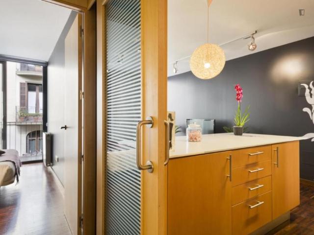 Apartamentos 2 Dormitorio Barcelona Barcelona ES104721288