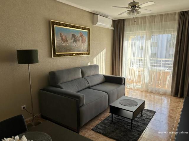Apartamentos 2 Dormitorio Guardamar Del Segura Alicante ES86218571
