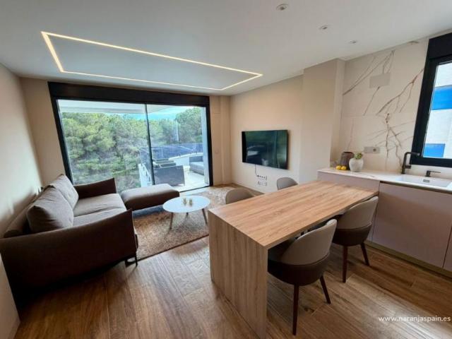 Apartamentos 2 Dormitorio Guardamar Del Segura Alicante ES98914129