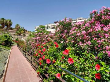 Apartamentos 2 Dormitorio Rincón De La Victoria Rincón De La Victoria ES95979372