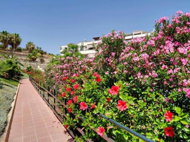 Apartamentos 2 Dormitorio Rincón De La Victoria Rincón De La Victoria ES95979372