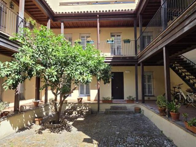 Apartamentos 2 Dormitorio Sevilla Sevilla ES104796140