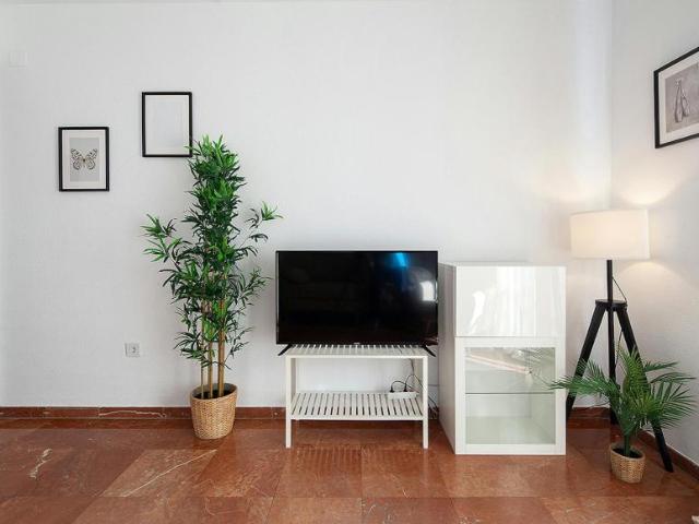 Apartamentos 2 Dormitorio Sevilla Sevilla ES105436384